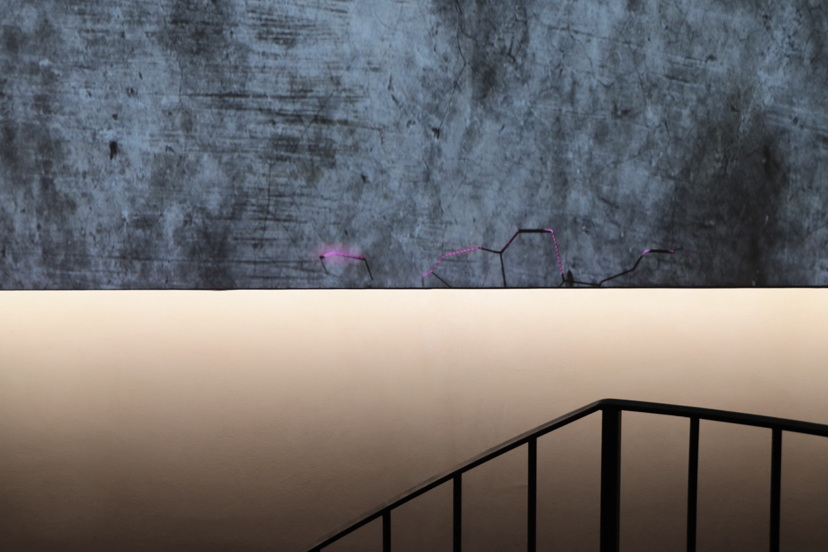 the wall mostra-11